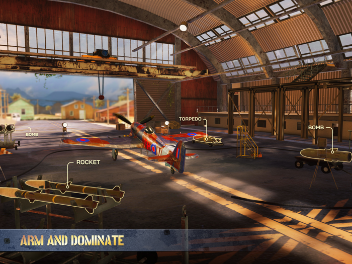 Fighter Pilot Iron Bird