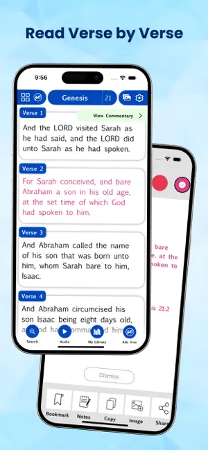 The Pulpit Commentary Offline screenshot 1