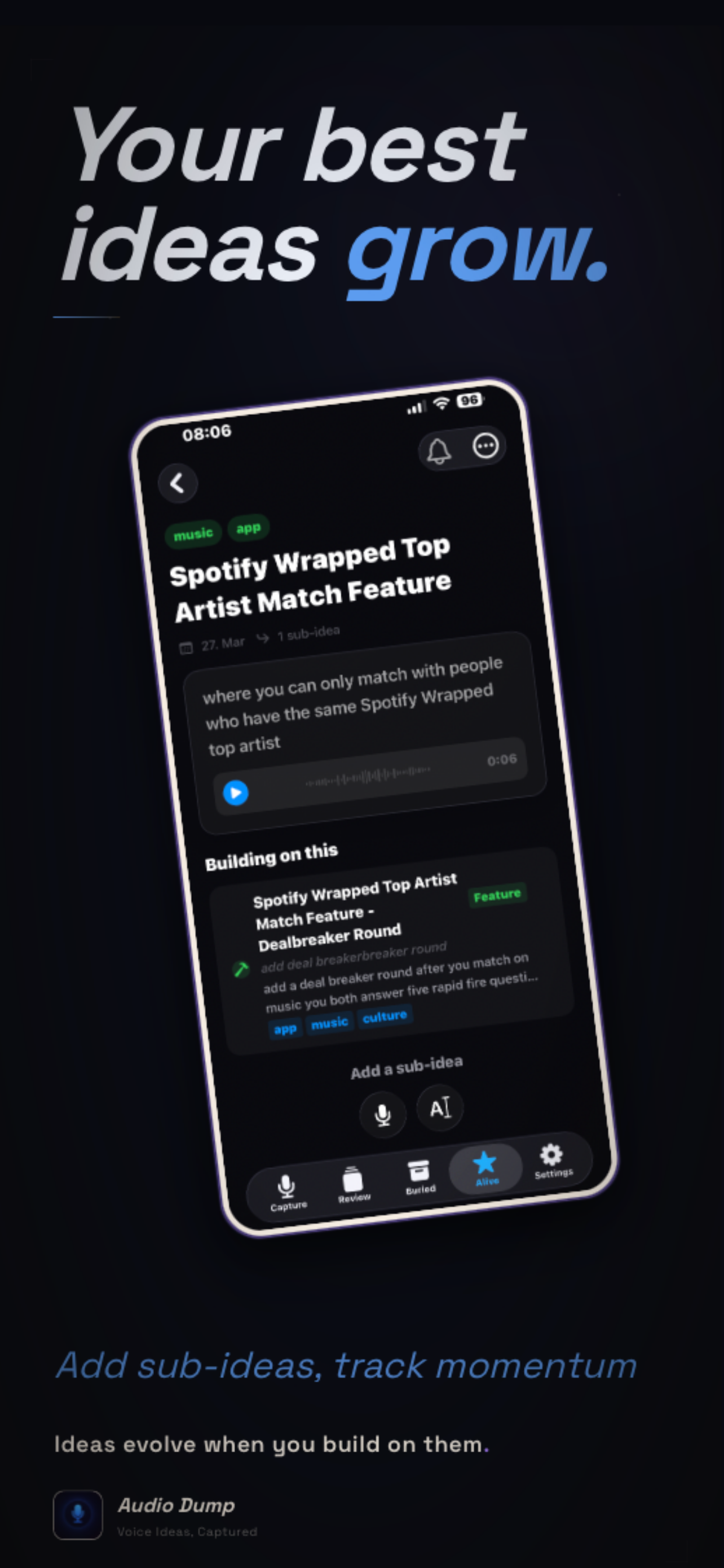 Audio Dump - Brain Dump Ideas