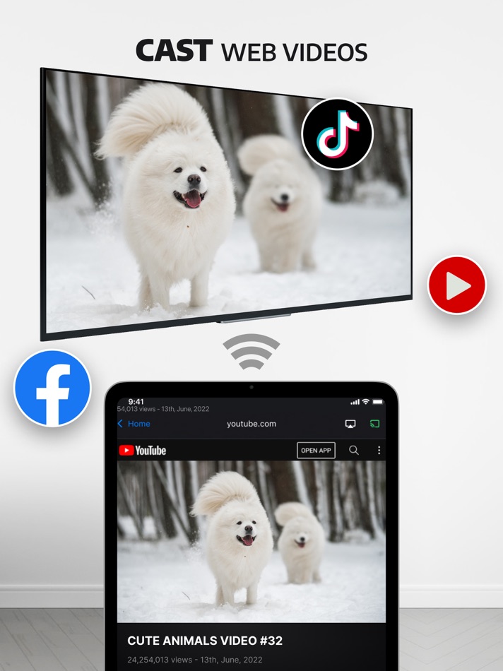 #5. Screen Mirroring・TV Cast View (iOS) โดย: TVSMART.APP