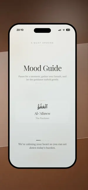 Hourly Ayah screenshot 2