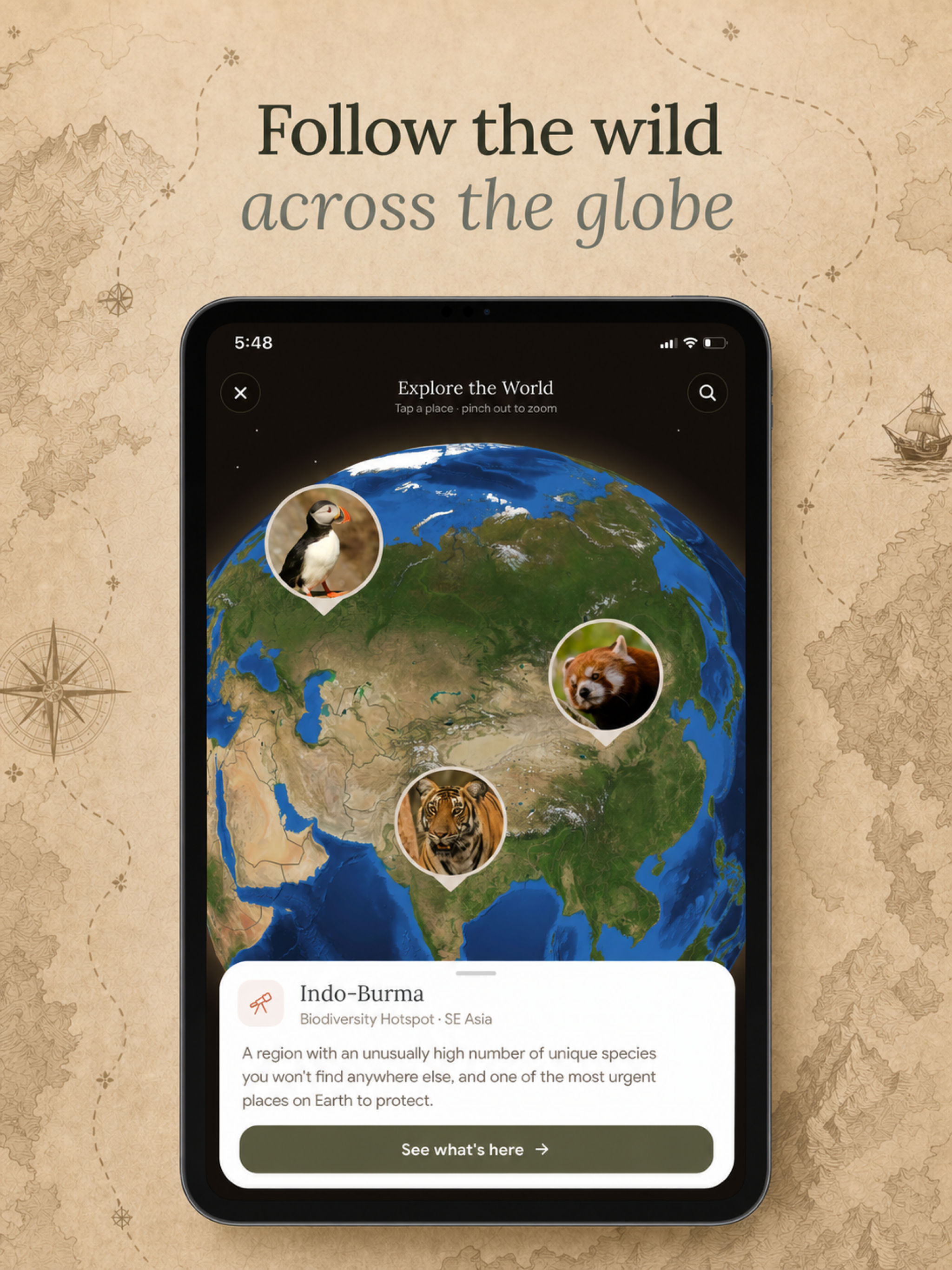 Fauna: Identify Wildlife screenshot 13