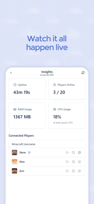 Homerun Go: Server Hosting screenshot 4