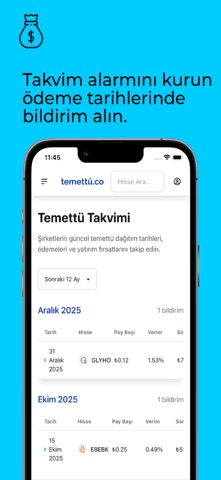 Temettü.co screenshot
