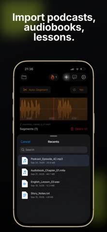 AudioLingo: Language Shadowing Screenshot 6 of 6