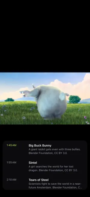 The IPTV: M3U & Xtream Player screenshot 3