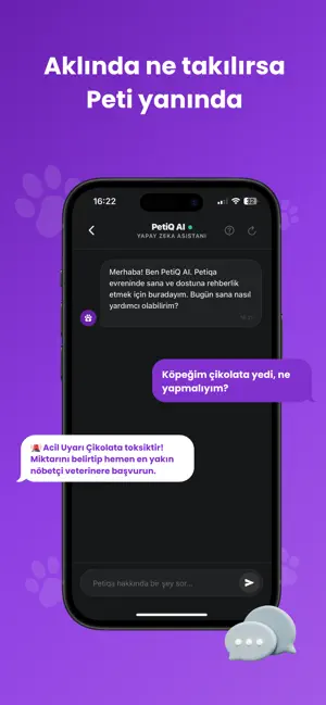 Petiqa: Evcil Hayvan Dünyası screenshot 2