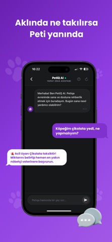 Petiqa Screenshot 2 of 10