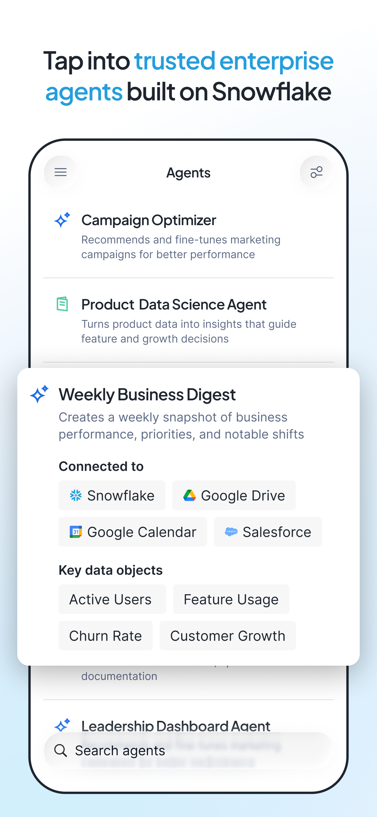 Snowflake CoWork screenshot 3
