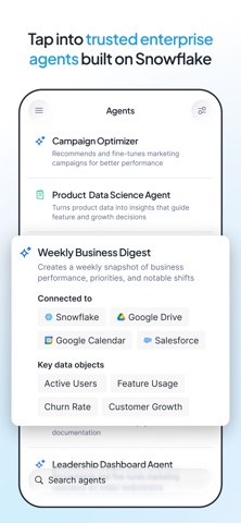 Snowflake CoWork iPhone screenshot