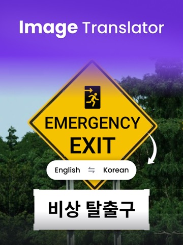 AI Image Translator iPad screenshot