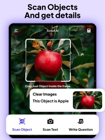 AI Homework Helper, Scan Solve iPad screenshot