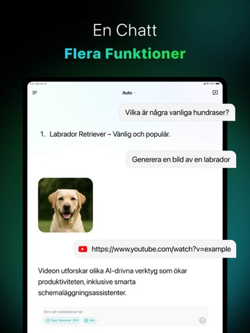 AI-chatbot och designassistent iPad screenshot 4