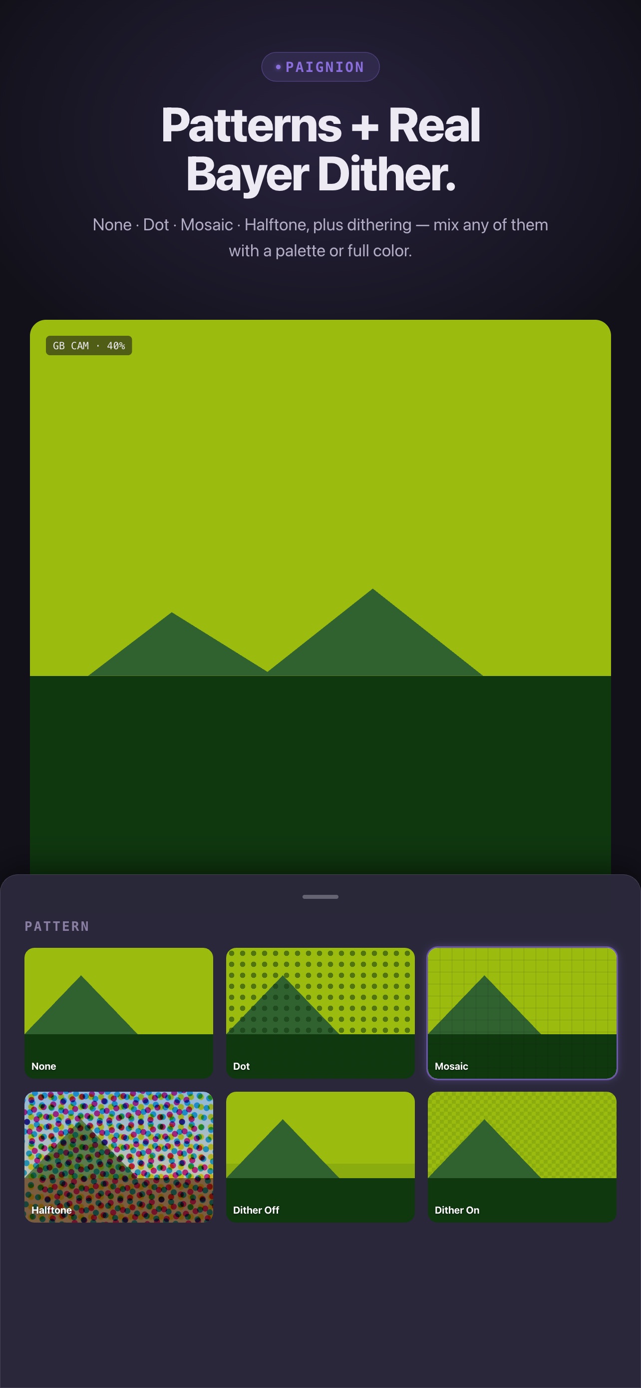 Screenshot 3 of Paignion: Pixel Camera