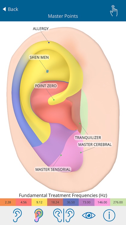 Auriculo 360 - The Living Ear