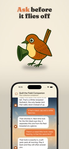 Wrenly: Bird Identifier iPhone screenshot