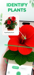Plant Identifier: PlantFlow screenshot