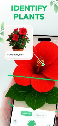 Plant Identifier: PlantFlow Screenshot 1 of 4