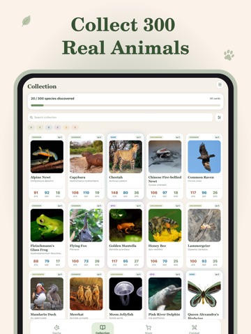 Animal Gacha: Wildlife Cards iPad screenshot