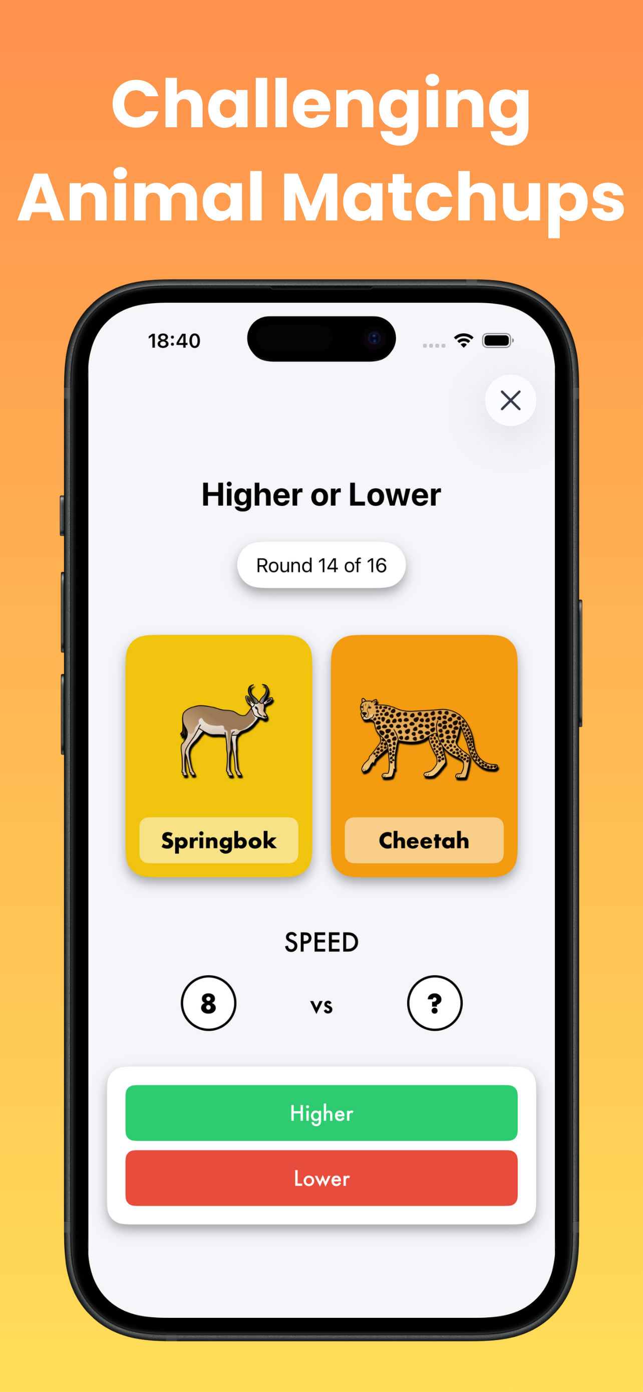 Safari Smackdown