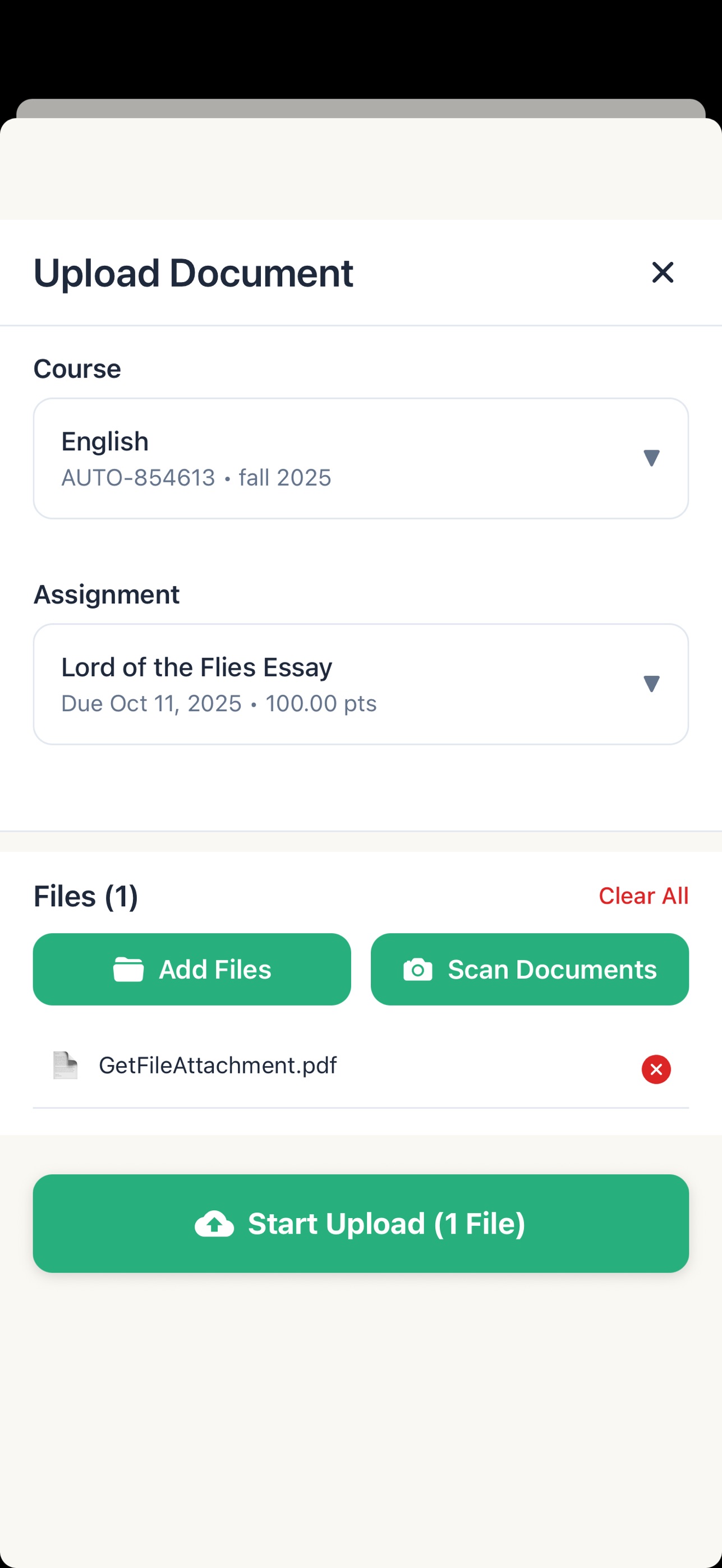 Screenshot 6 of Rakoala