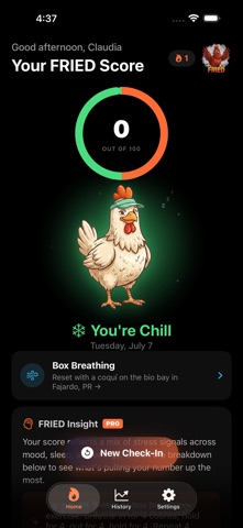 You're FRIED screenshot