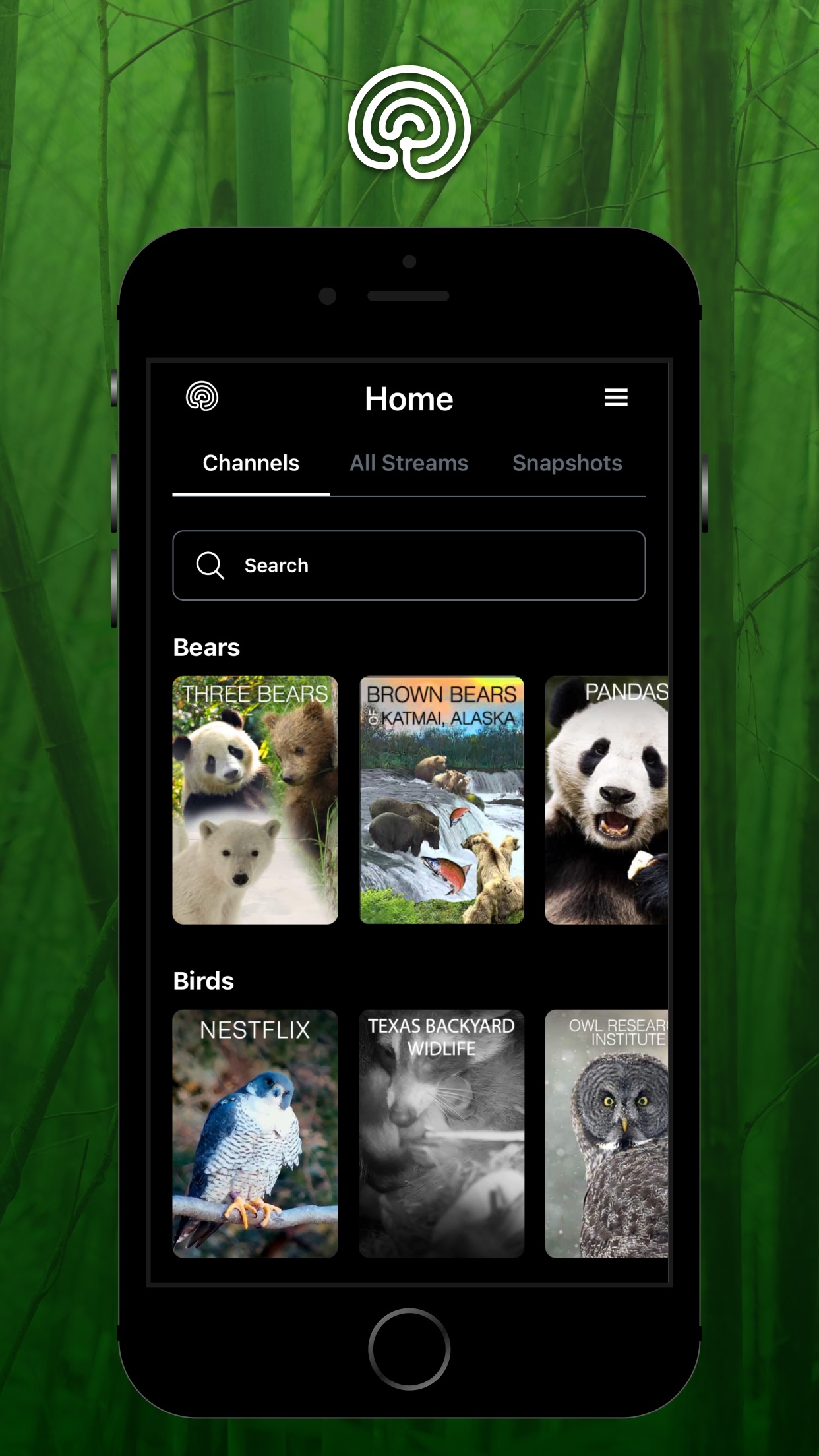 explore.org screenshot 4