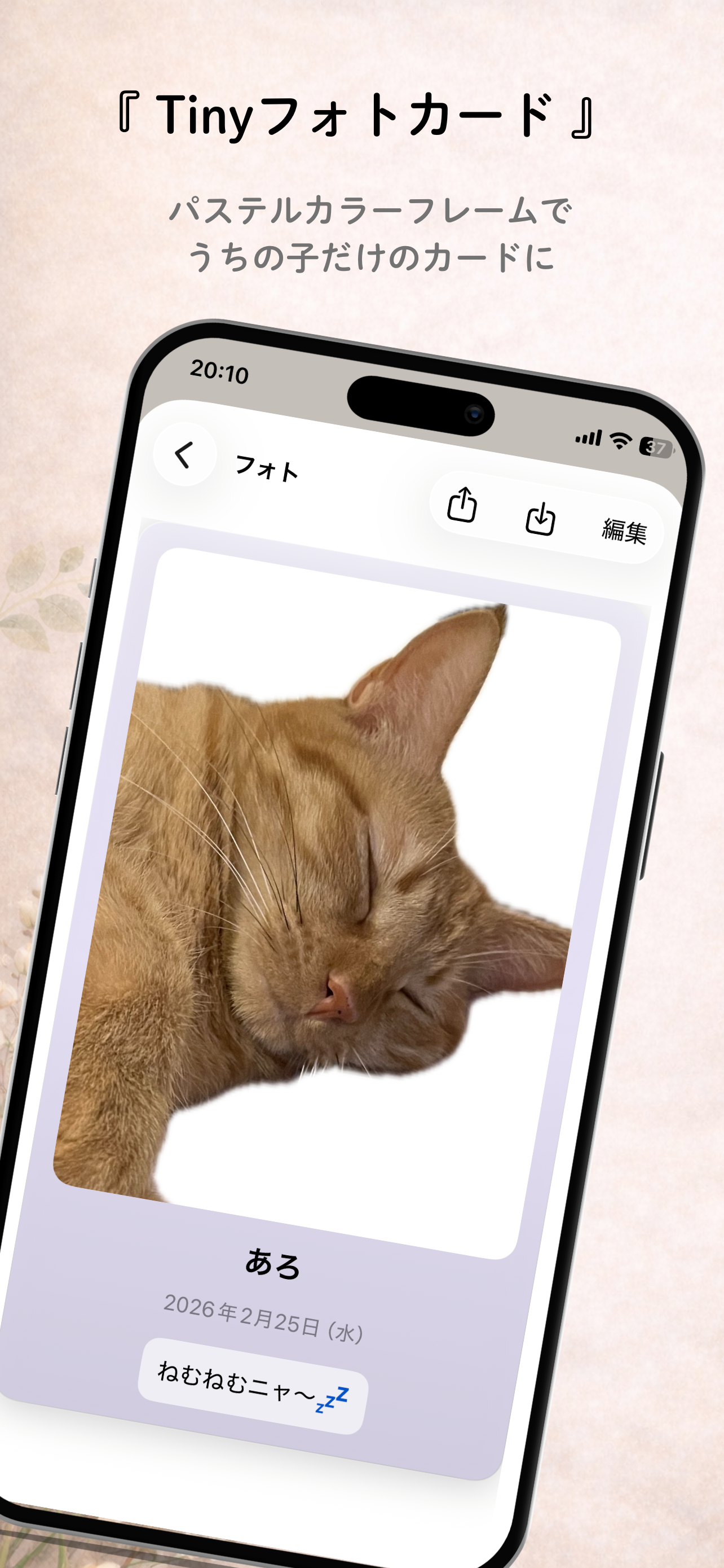 PawCalendar screenshot 6