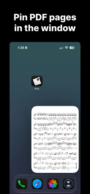Pinit: PiP Anything screenshot 4
