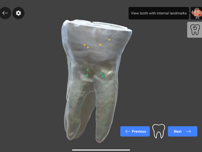 Dental InsightMaster