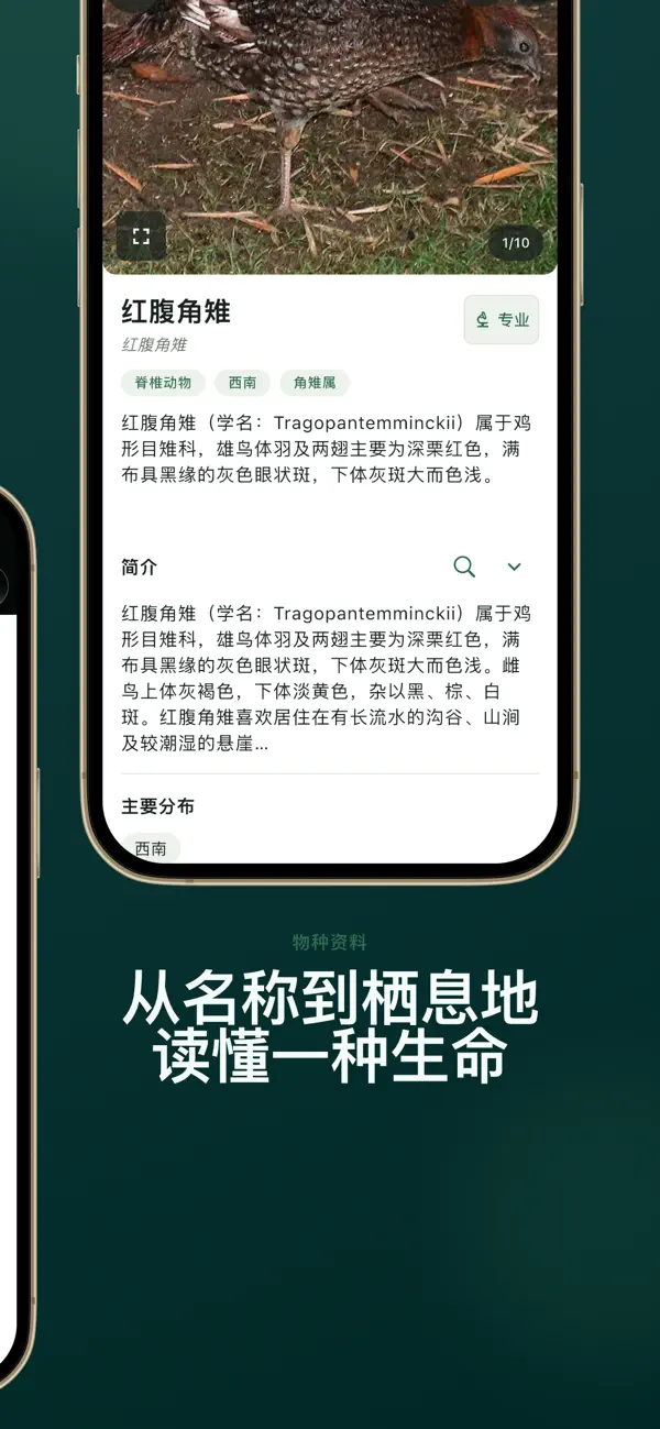 Screenshot #3 pour 动植物大全