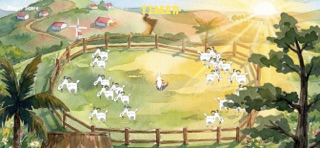 Mùa Hình screenshot