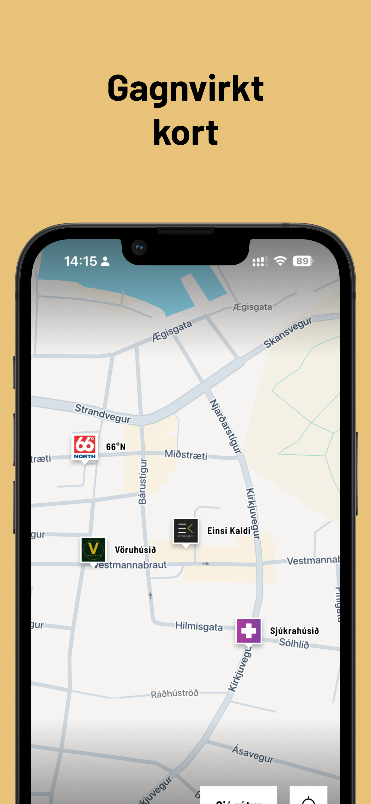 Dalurinn screenshot 3
