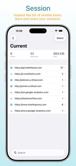 Charles Proxy iPhone Ekran Görüntüsü 3