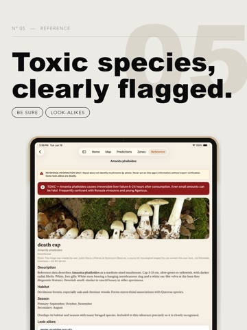 Mycel — Foraging Map & Journal iPad screenshot