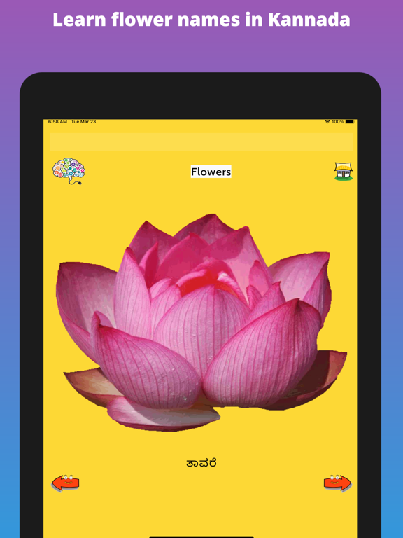 Learn Kannada Flashcards iPad screenshot 7 - Education app