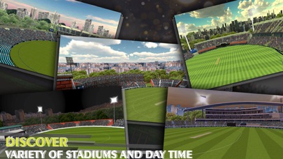 Epic Cricket - Real 3D Game Screenshot
