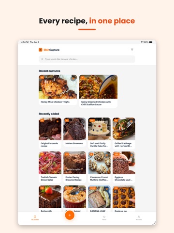 DishCapture iPad screenshot
