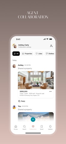 Aspen Realtor Ashley screenshot