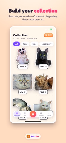 PurrGo: Catch Cat to Flex Screenshot 4 of 6