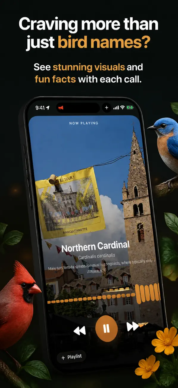 Screenshot #3 pour Sons et Appels d'Oiseaux