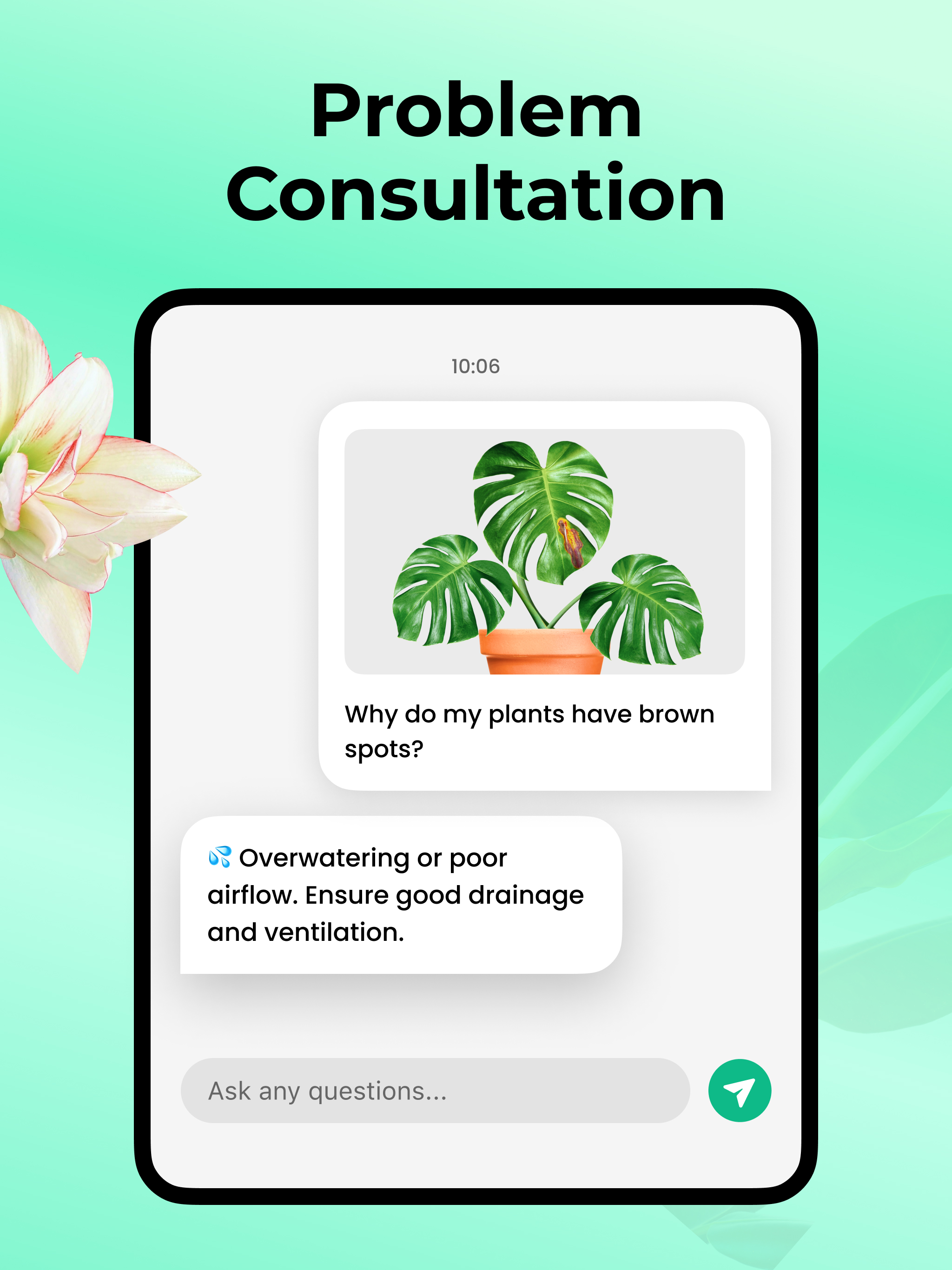 Plant Parent: Plant Care Guide