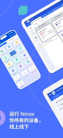 Ninox screenshot