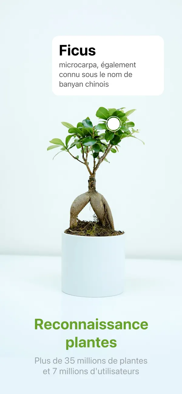 Screenshot #1 pour Reconnaitre fleurs et plantes!