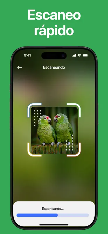 Lens: Búsqueda de Imágenes screenshot 4 of 6