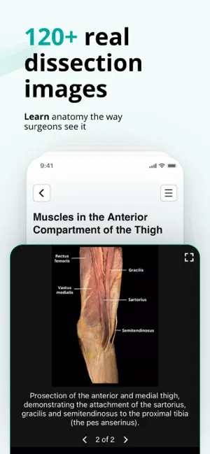 TeachMe Anatomy: 3D Human Body iPhone screenshot 4