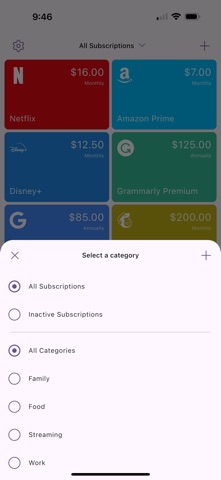 Subscriptions Space screenshot