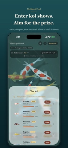 Nishikigoi Pond Screenshot 6 of 6