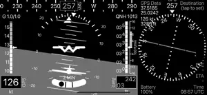 A-EFIS Black and White screenshot #3 for iPhone