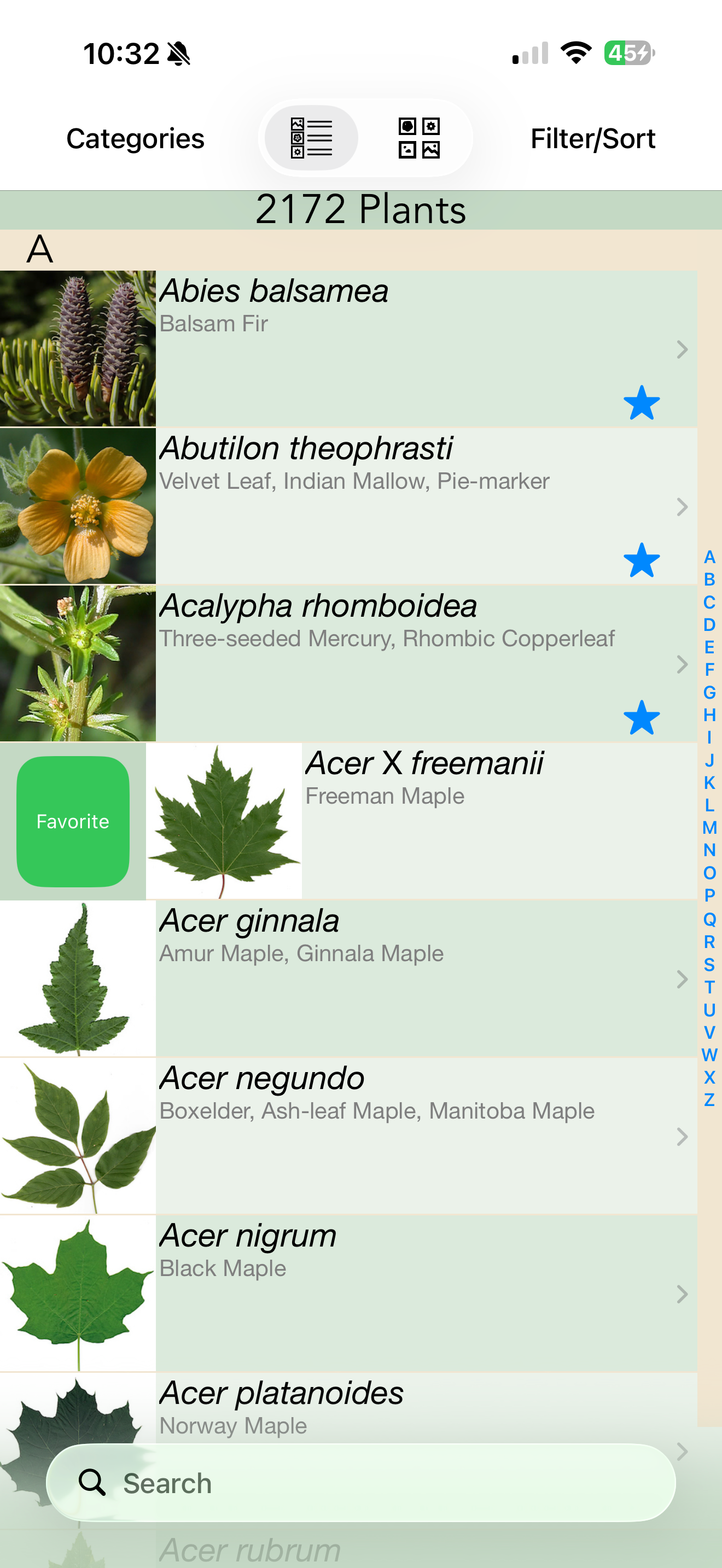 Minnesota Wildflowers Info.